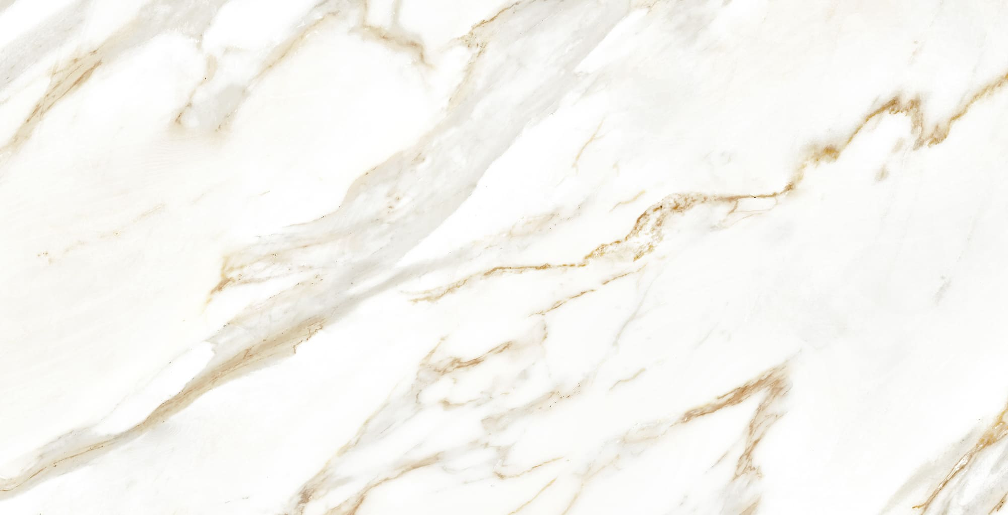 Piso Polido Retificado 63x122cm P63010 Calacata Gold Lux Embramaco